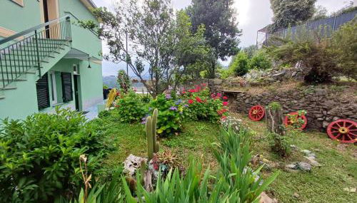 I Pippodi - Foto 2, Garden, Garden view