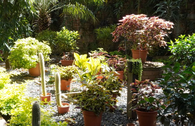 Villa Las Flores - Photo 44