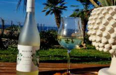 Cocciu d’amuri - Foto 10