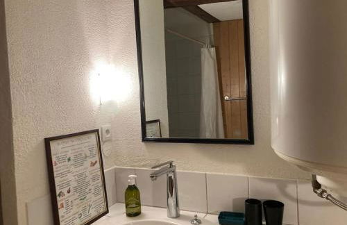 La Sorcière in a typical Alsatian house - Foto 23