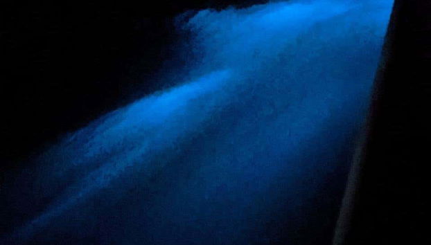 Tour della bioluminescenza