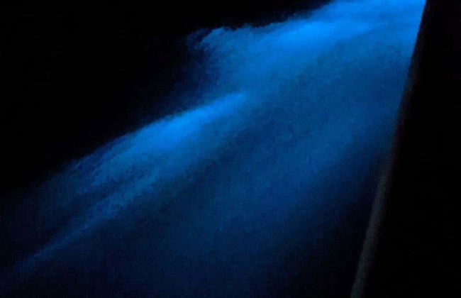 Playa Muertos Bioluminescence Tour - Photo 3