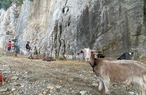 ΠΕΤΡΑΣΤΕΡΟ Canyon Retreat-Agrafa - Photo 23