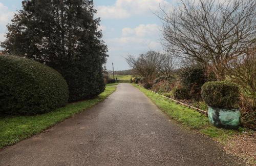 Winston Hall - Photo 60