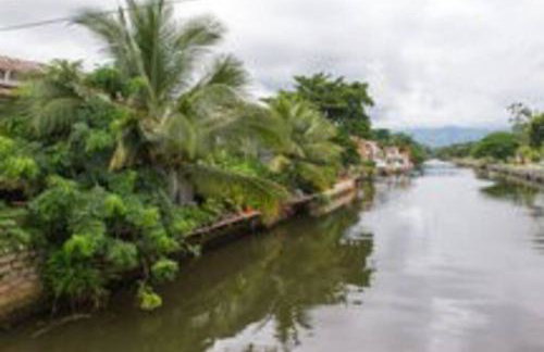 CASA FLOR DO RIO - Foto 19