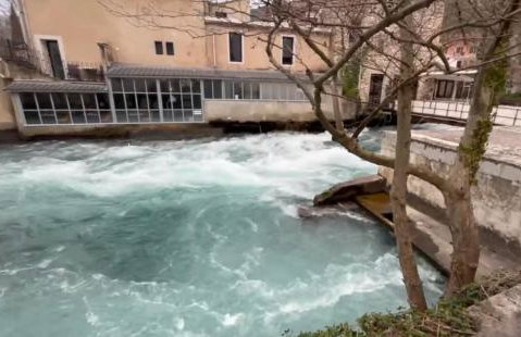 Cabane bambou - Photo 25