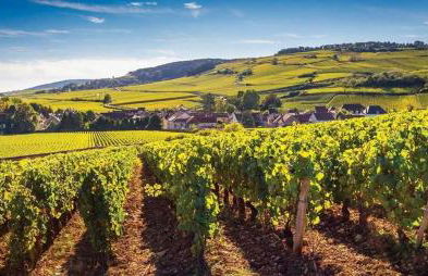 La Maison des Vignes à 5 minutes de l A6 & Macon - Foto 7
