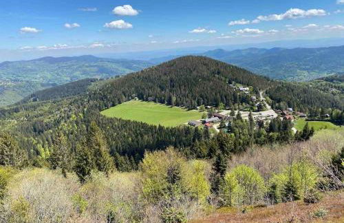 Au Nid Des Pies - Foto 22