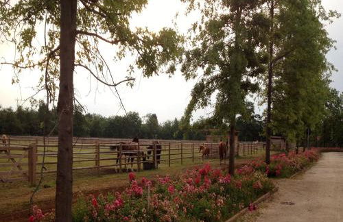 Agriturismo Il Boschetto - Foto 77