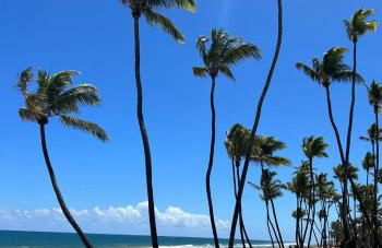 Apartamento moderno vista mar - Photo 21