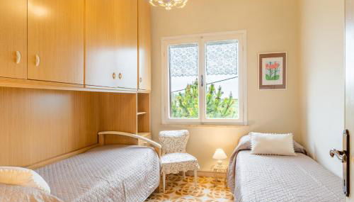 Sassi Scritti - Acero Montano - Foto 4