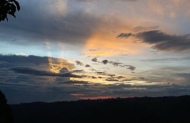 Hakuna Matata Glamping Timon - Photo 11