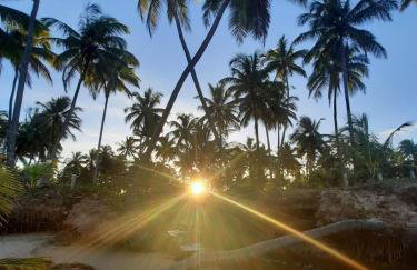 Estudio Lirios seu cantinho ecológico na natureza - Foto 27