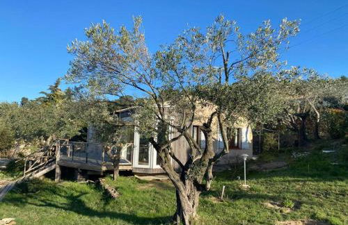 Neuve Romantique - Foto 27