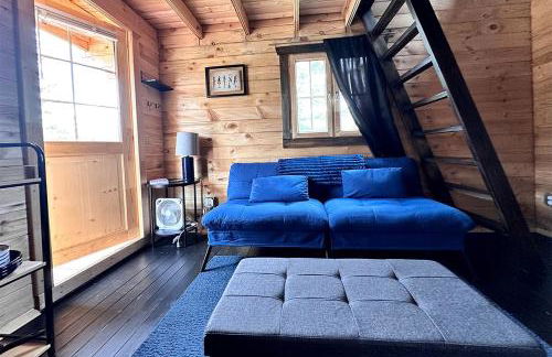Solar Powered Lakefront Twin Tiny Houses in Cantwell Alaska, Perfect for a Group Getaway to Denali National Park - Foto 8