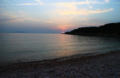 Apartmani Vesna - Foto 45