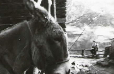 Masia Can Constans - Foto 59