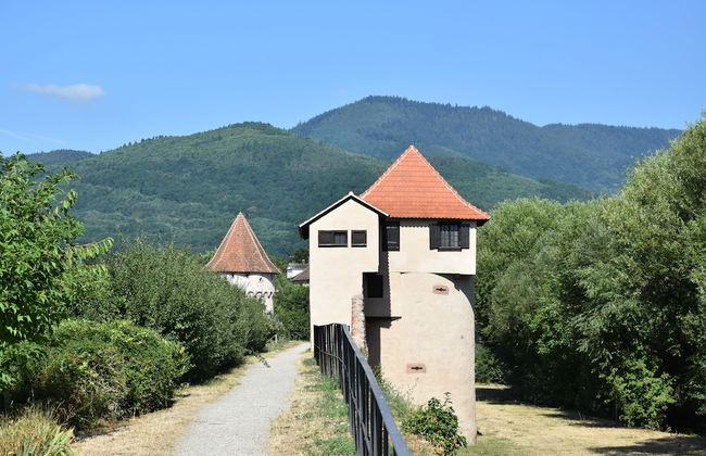 S'harzala Vert Bis - Foto 1