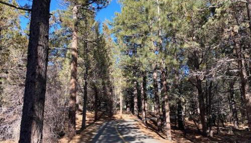 Village and Lake Escape - Walk to the Lake and Village - Foto 3