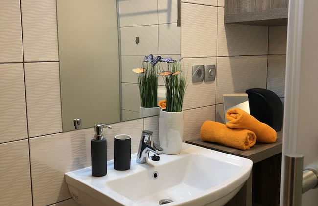 Apartments and wellness center Korošec - Foto 58