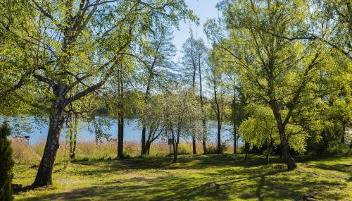 Wila Dom Nad Jeziorem Mazury - Foto 3, Garden