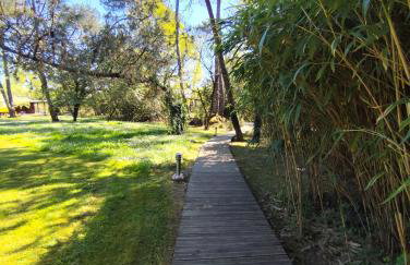 Les roulottes Vesta - Foto 55