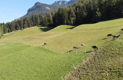 Ladinser Hof Sternenhimmel - Foto 18