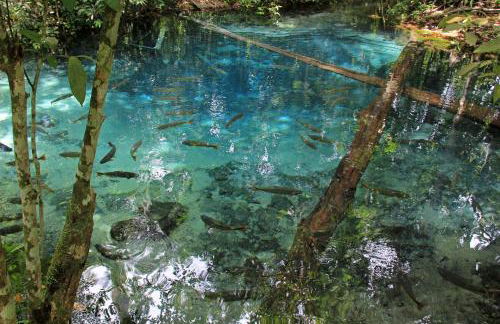 CASA PE DE PEQUI - Foto 21