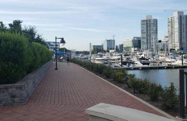 Stamford Bohemian by HarborPoint Downtown &Train - Photo 49