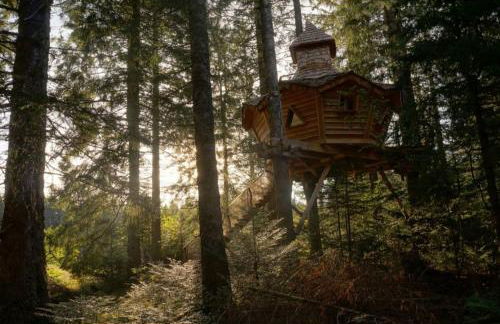 Cabanes des Volcans - Foto 19