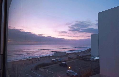 L'Emeraude, les pieds dans l'eau - Foto 23