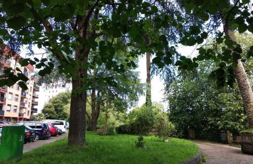 OFERTA ESPECIAL ÚLTIMA HORA - SARAKATUA15 - vistas espectaculares - familias y parejas - 2 dormitorios independientes - amplio salón cocina comedor - tarjeta parking OTA GRATIS - Julio y agosto estancia mínima 7 noches de domingo a domingo - - Foto 47