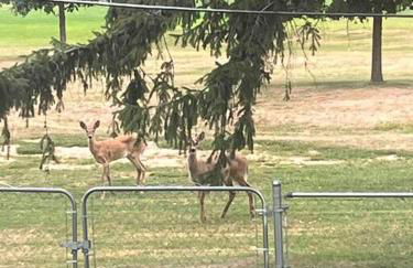 Country Club View in Marion, Iowa - Foto 10