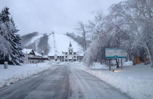 Downtown Bellaire, Close to Hiking, Biking, Golf, Lakes,Pets friendly - Foto 45