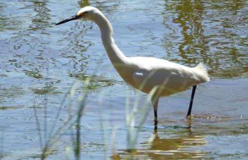 The Lake House on Lake Rosalie - Foto 18