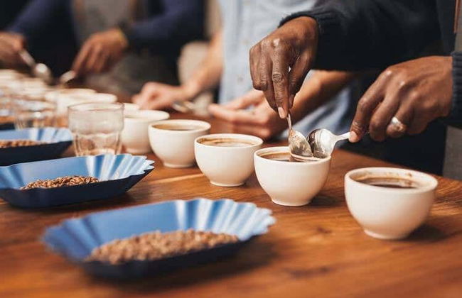 Degustação de café em Kigali - Foto 3