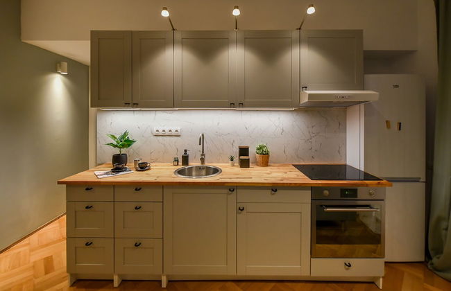 Homey - Bulevardul Carol 1 no. 45 - Foto 31