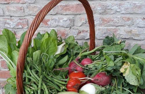 Cascina Angelina - Photo 7