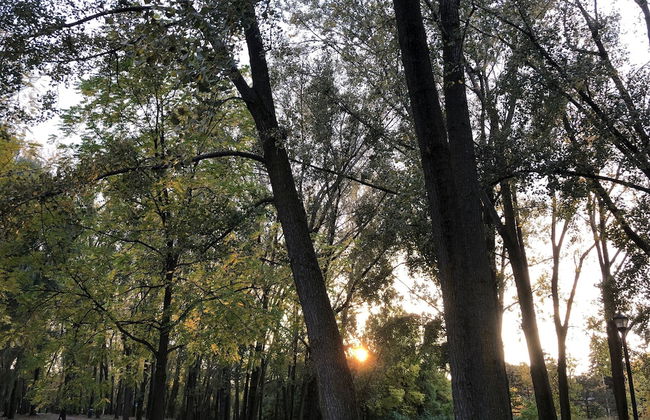 Martine et Michel - Foto 26