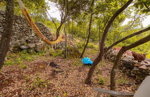 Meadow Hill - Foto 41