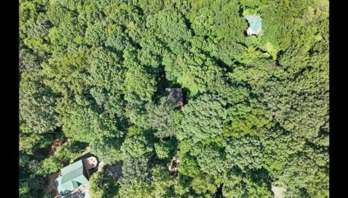 Open Studio Lodge at Little Rock Creek - Foto 3