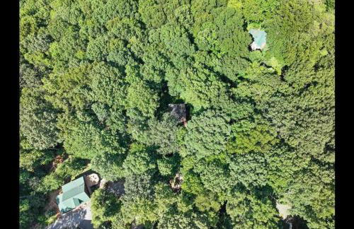 Open Studio Lodge at Little Rock Creek - Foto 3