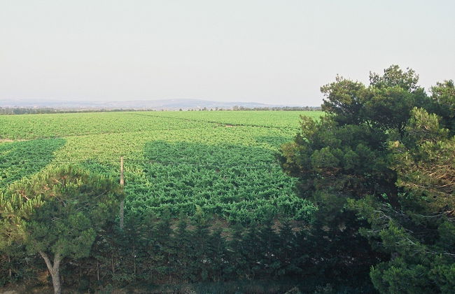 Domaine La Yole Wine Resort - Foto 38