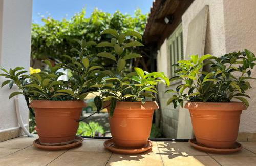 Villia home - Foto 27