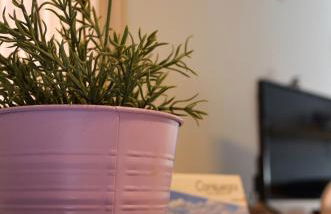 Apartamento La Guinda - Foto 10