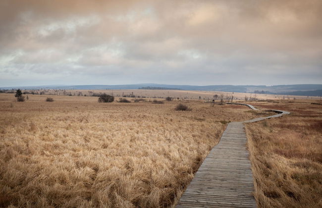 Cozy Forest Chalet Escape - Photo 29