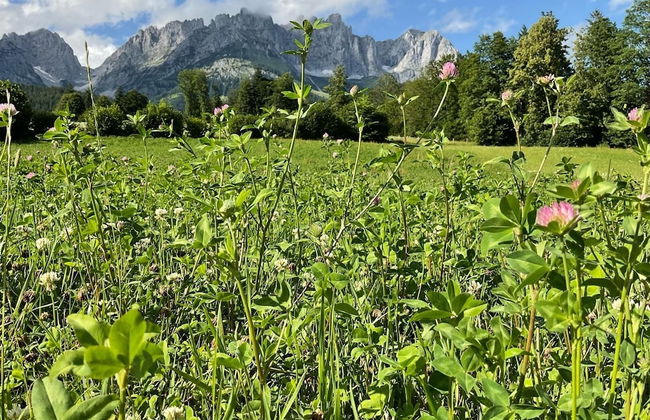 Chalet Belle Kaiser - Foto 47