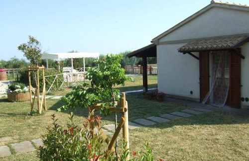 Agriturismo La Casa della Lavanda - Il Rustico - Foto 10