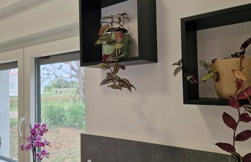 Villa DE Luna Istra,whirlpool - Foto 11