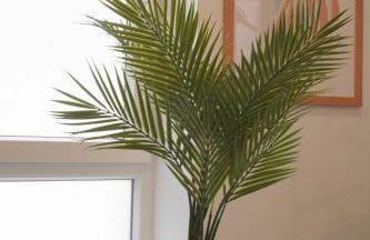 CH Oporto 1 - Photo 10